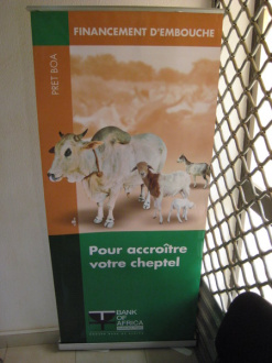 02 Financement D Embouche